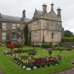 Professional Landscaping Services to Enhance Your Property