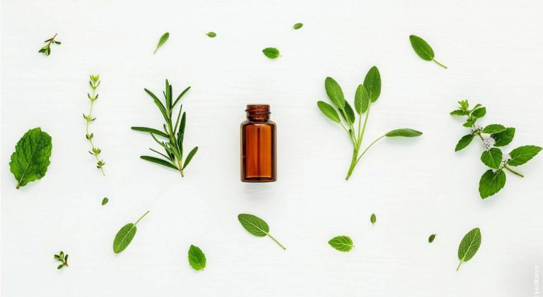 Kräutertee bei Verdauungsproblemen online kaufen – Nachhaltige Auswahl